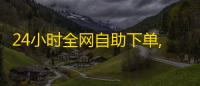 24小时全网自助下单,抖音24小时自助免费 - 抖音推广24小时自助平台 - 快手一块钱100个链接
